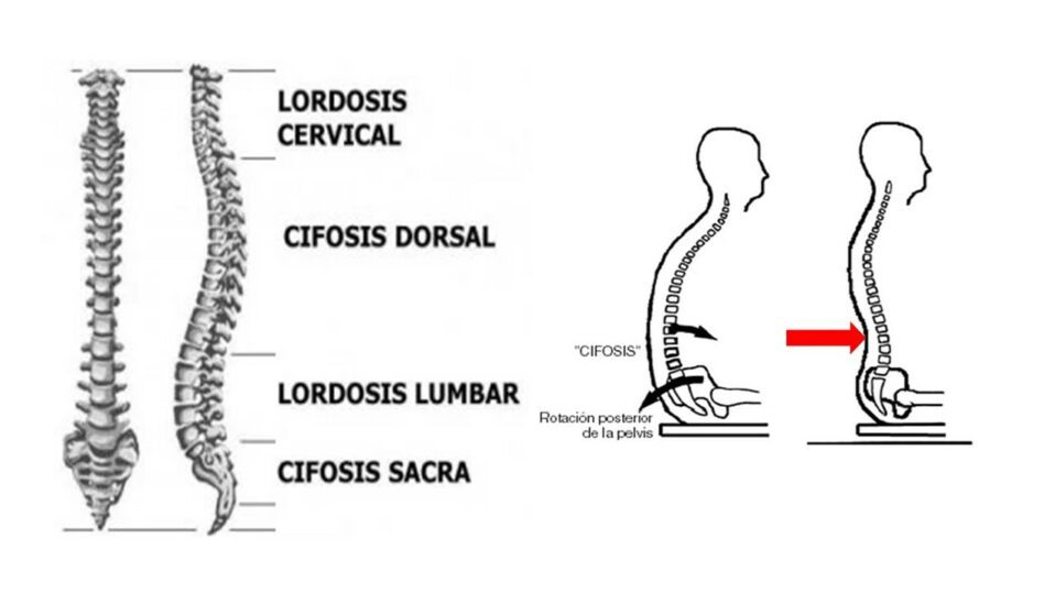 La Importancia De Una Buena Ergonom A Y Sedestaci N En Las Personas